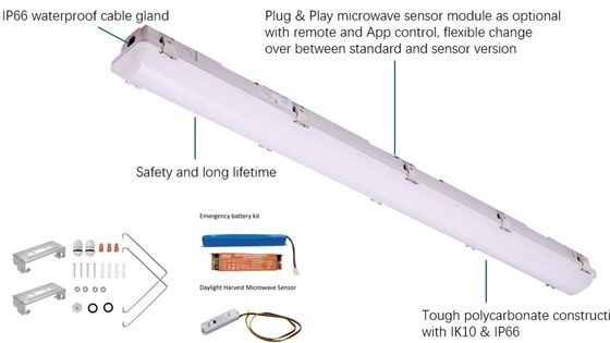 Fabbricazione industriale di luci a vapore a LED IP66 IK10 2ft/4ft/5ft/8ft 120-277V/120-347V Voltaggio di ingresso