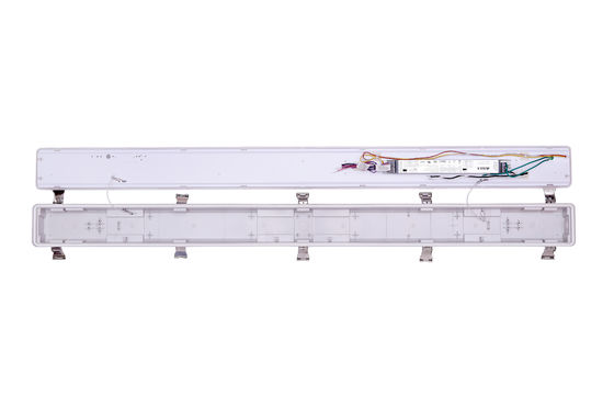 Fabbricazione industriale di luci a vapore a LED IP66 IK10 2ft/4ft/5ft/8ft 120-277V/120-347V Voltaggio di ingresso