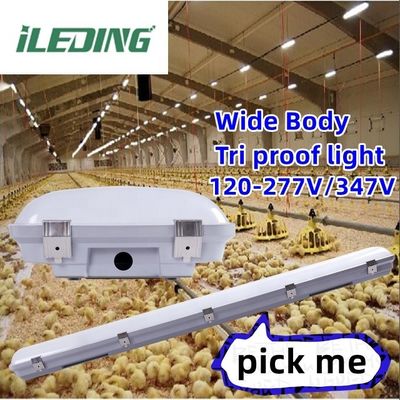 Soluzione di illuminazione per magazzini Industrial LED Vapor Tight High Bay Wet Location 120-347V