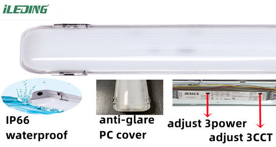 80 Ra LED resistente al vapore 2ft 3CCT Selezionabile LED resistente al vapore IP66 per illuminazione collegata