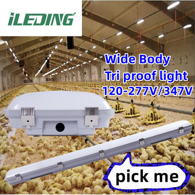 Gasket di silicio LED Vapore Tight High Bay IP67 impermeabile 200W per magazzino industriale