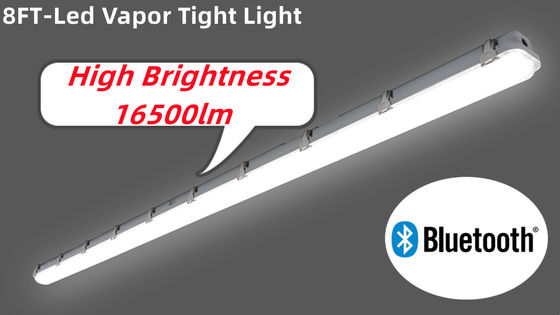 LED impermeabile al vapore IP66 IK10 per vapore commerciale e industriale impermeabile al vapore 50000 ore