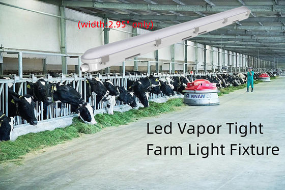 4FT Tri Proof LED Light Fixture 42W Linear Vapor Tight Light Per la conservazione degli alimenti Durable
