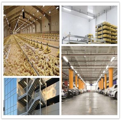 Garage Warehouse 5FT IP66 LED Tri Proof Fixture Luce dimmerabile a tenuta di vapore 55W CA 110V ±10%