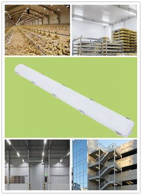 IP66 resistente all'acqua lineare 65W magazzino LED vapore stretta energia luminosa per allevamenti lattiero-caseari interni