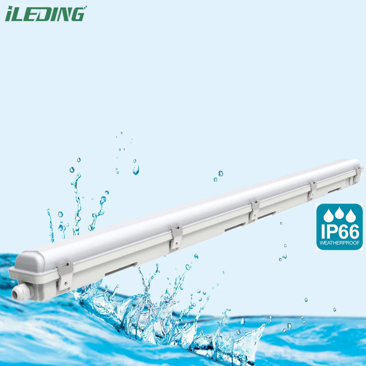 LED impermeabile al vapore IP66 IK10 per vapore commerciale e industriale impermeabile al vapore 50000 ore