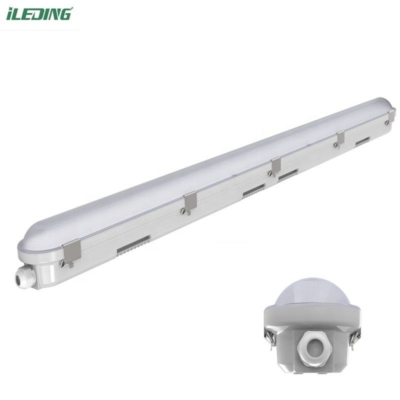 Fabbricazione a prova di triplice 5FT 24W Industrial LED Vapor Tight Fixture con CRI Ra 80